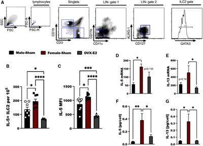 IL-33 induces NF-κB activation in ILC2 that can be suppressed by in vivo and ex vivo 17β-estradiol